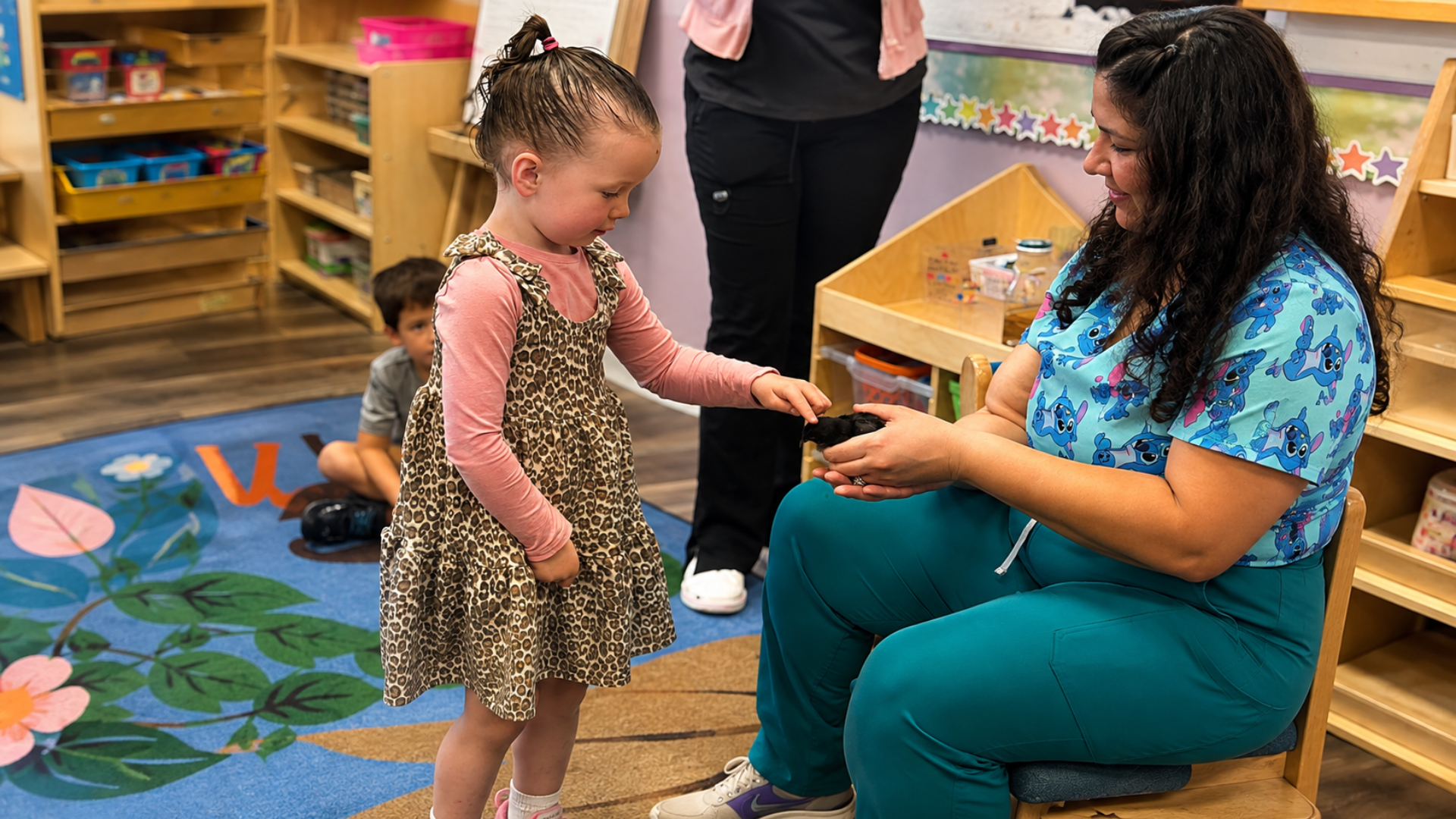 A preschool girl gently petting a baby chick held in her teacher's hands in a classroom with a floral rug